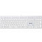Tastatūra A4Tech Fstyler FX50 White