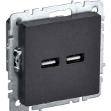 USB rozete IEK BRITE BR-U21-D31-K02