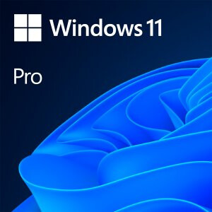 Windows 11 Professional - FQC-10528