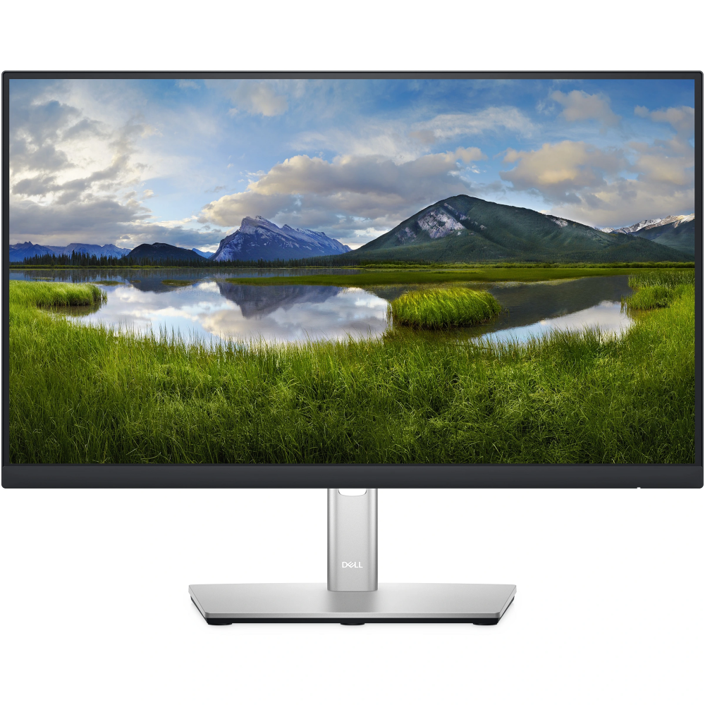 Monitors DELL P2222H 21.5" (210-BBBE)