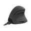 Souris NATEC Euphonie black (PERNATMYS0115) - photo 3