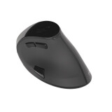 Souris NATEC Euphonie black (PERNATMYS0115)