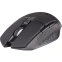 Souris DEFENDER GM-514 GLORY Black (52514) - photo 2