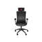 Datorkrēsls Genesis Astat 200 G2 Black (NFG-1943)