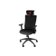Datorkrēsls Genesis Astat 200 G2 Black (NFG-1943) - foto 2