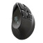 Souris TRUST ERGONOMIC VOXX (23731)