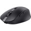 Souris Trust USB OPTICAL WRL OZAA/BLACK 24819