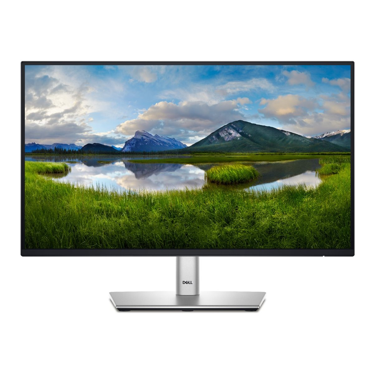 Monitors Dell P2225H 22" Silver (210-BMHD)