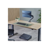 Peles paliktnis Fellowes Breyta Desk Mat Sage (100139323)