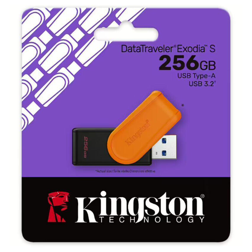USB zibatmiņa KINGSTON DTXS 256GB - DTXS/256GB