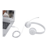 Austiņas Lenovo 110 Stereo USB Type-A Grey (GXD1E71385)