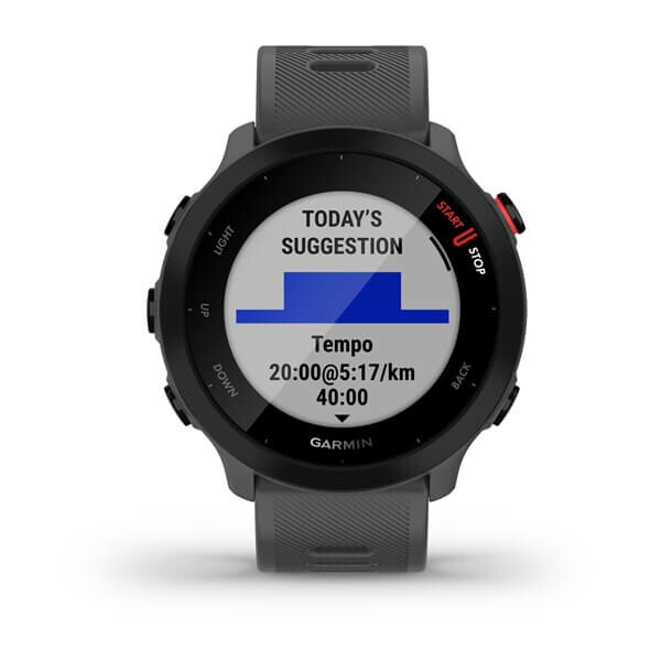 Viedpulkstenis Garmin FORERUNNER 55 Grey (010-02562-13) - foto 2