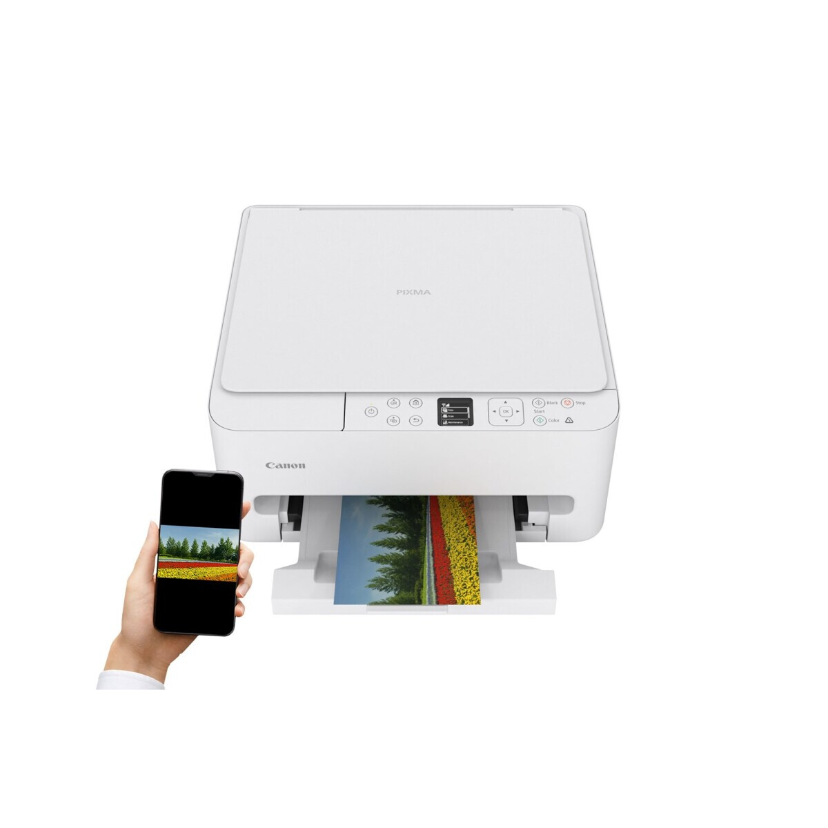 MFP Canon PIXMA TS6550i Inkjet A4 1200 x 1200 DPI Wi-Fi - 7179C006 - foto 3