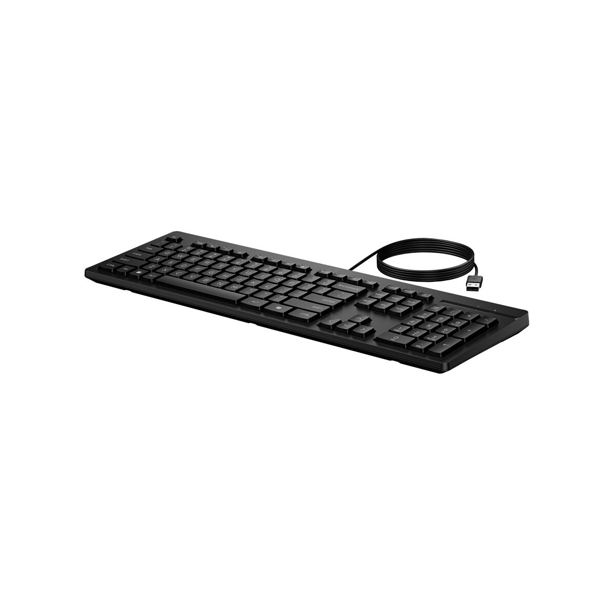 Tastatūra HP 125 G2 USB WD KBD (AY2Y7AAABB)