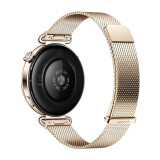 Smart watch Huawei GT6 41mm Gold (55020FTP)