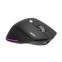 Pele Acer Easy Fit wireless 2.4GHz BT5.0 (HP.EXPBG.021) - foto 3