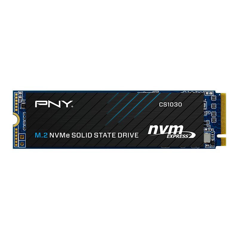 SSD PNY CS1030 250GB Black (M280CS1030-250-RB)
