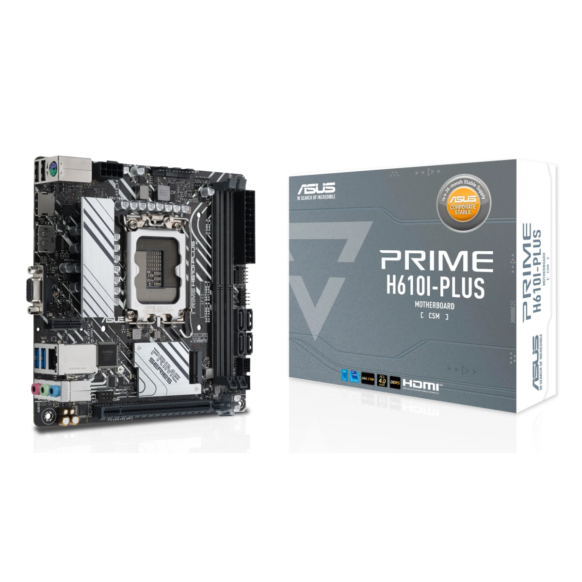 Pamatplate ASUS PRIME H610I-PLUS-CSM (90MB1GB0-M0EAYC)