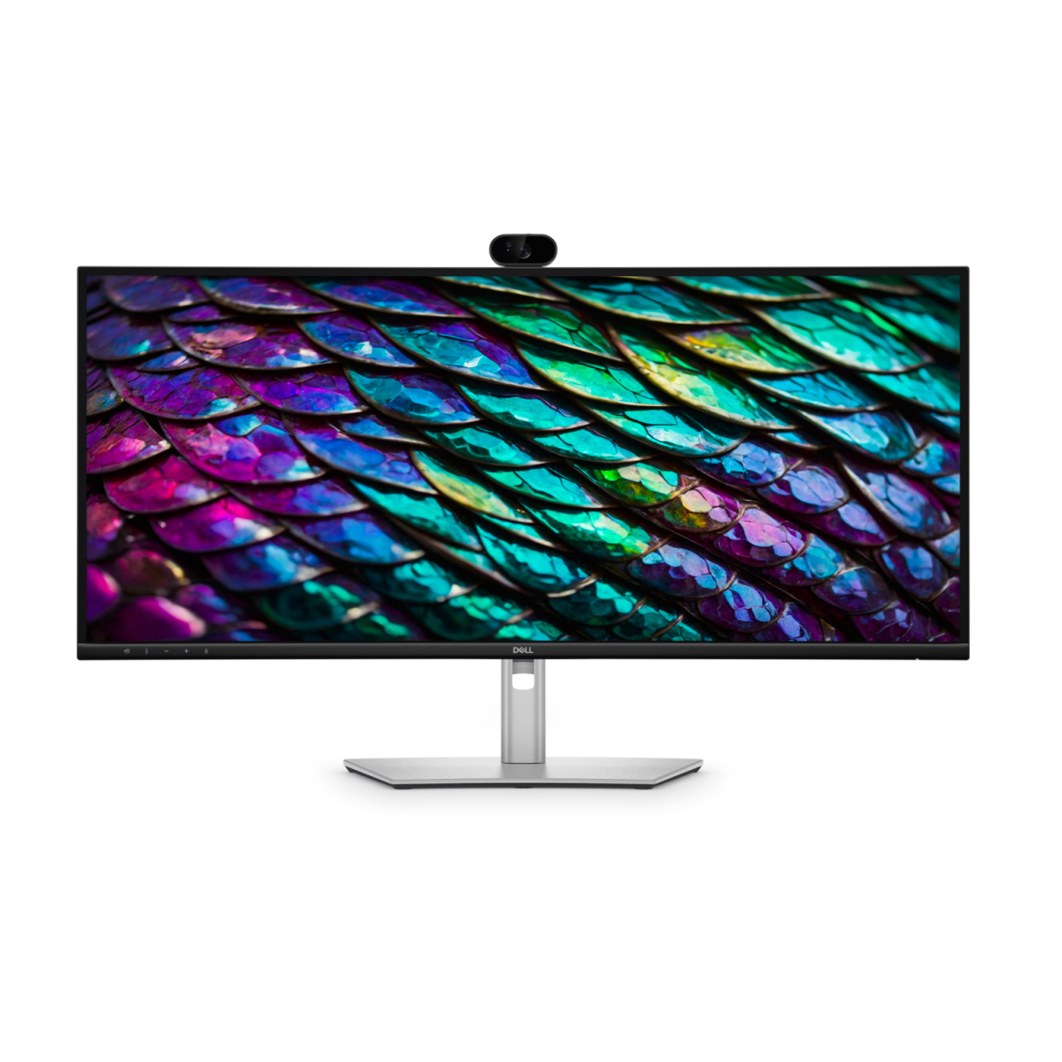 Monitors Dell P3426WEB 34 in IPS WQHD 3440 x 1440 at 100 Hz (210-BVHQ_5Y)
