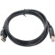 Câble USB A (M) - USB B (M), 1.8m, Gembird CCP-USB2-AMBM-6