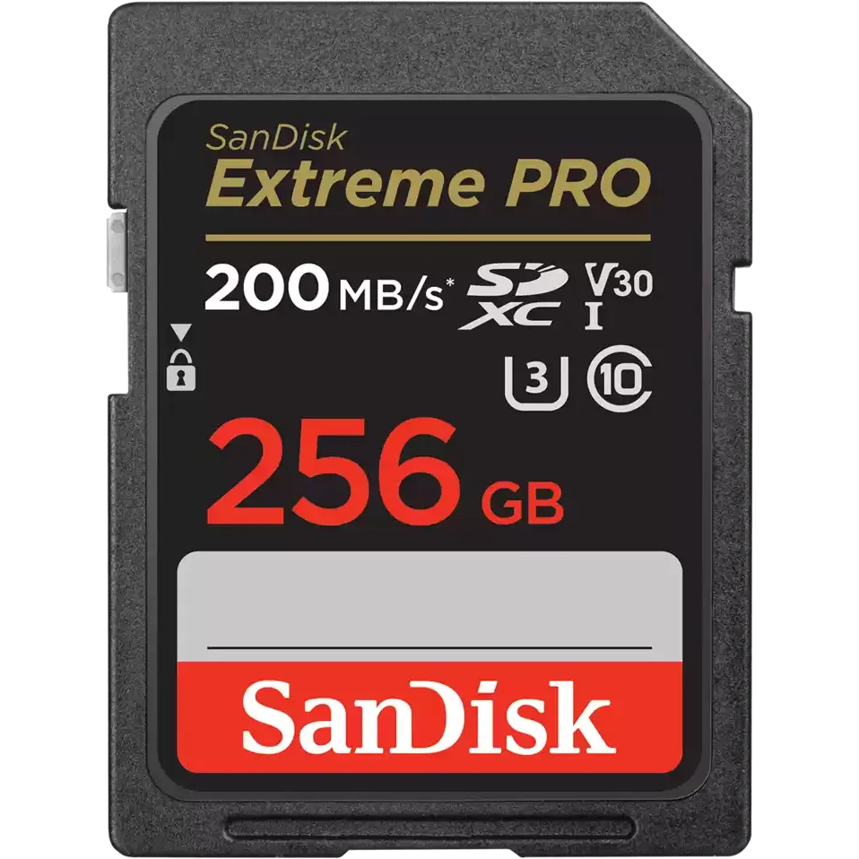 Carte mémoire 256GB SD SanDisk Extreme Pro (SDSDXXD-256G-GN4IN)