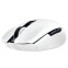 souris Razer Orochi V2 White - RZ01-03730400-R3G1(C1/A1)