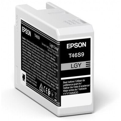 Cartouche Epson C13T46S900 Light Grey