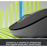 souris Logitech Signature M650 L Graphite (910-006236)