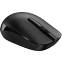 souris Genius NX-7007 Black - 31030026403 - photo 4