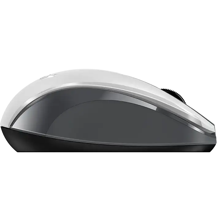 souris Genius NX-8008S White/Grey - 31030028403 - photo 4