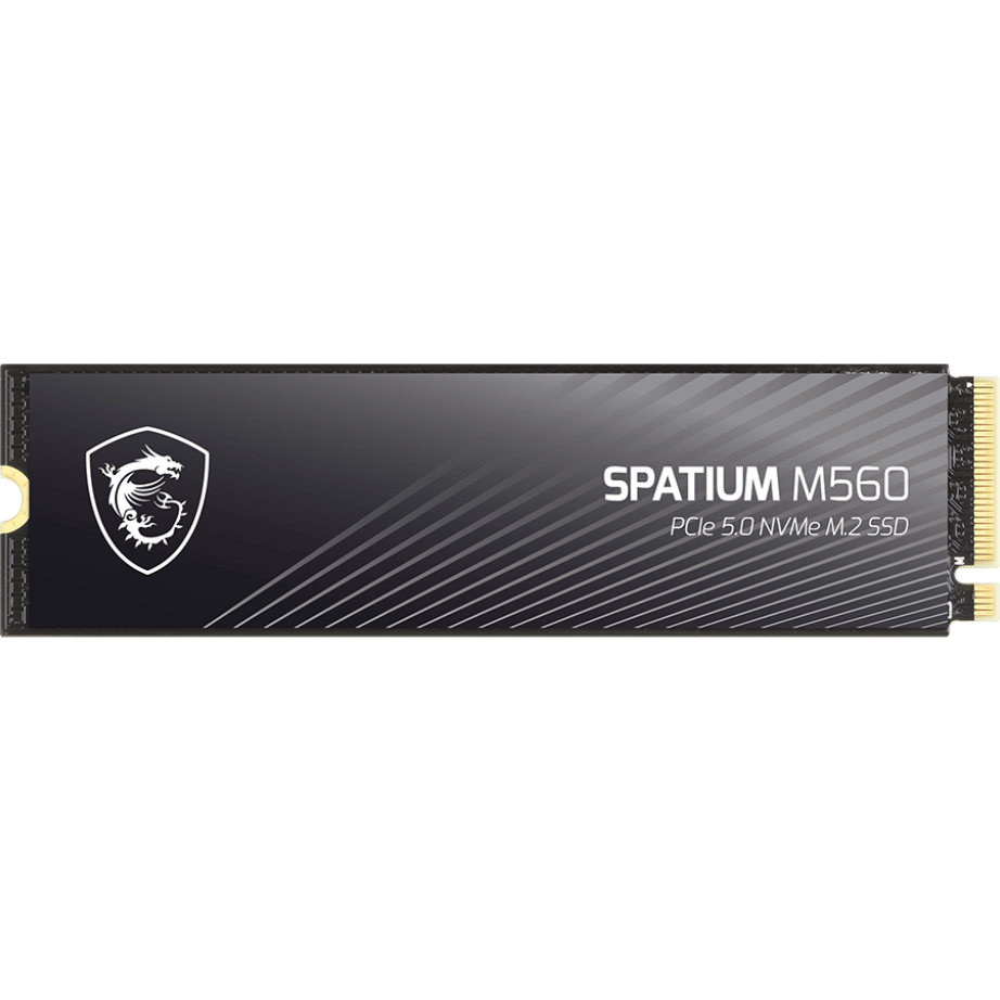 SSD interne 1TB MSI SPATIUM M560 (SPATIUM M560 PCIe 5.0 NVMe M.2 1TB) - S78-440L0F0-P83