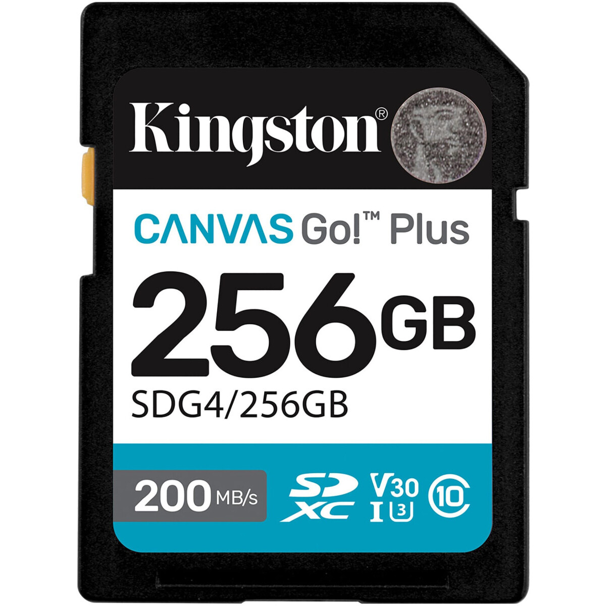 Carte mémoire 256GB SD Kingston Canvas Go! Plus (SDG4/256GB)