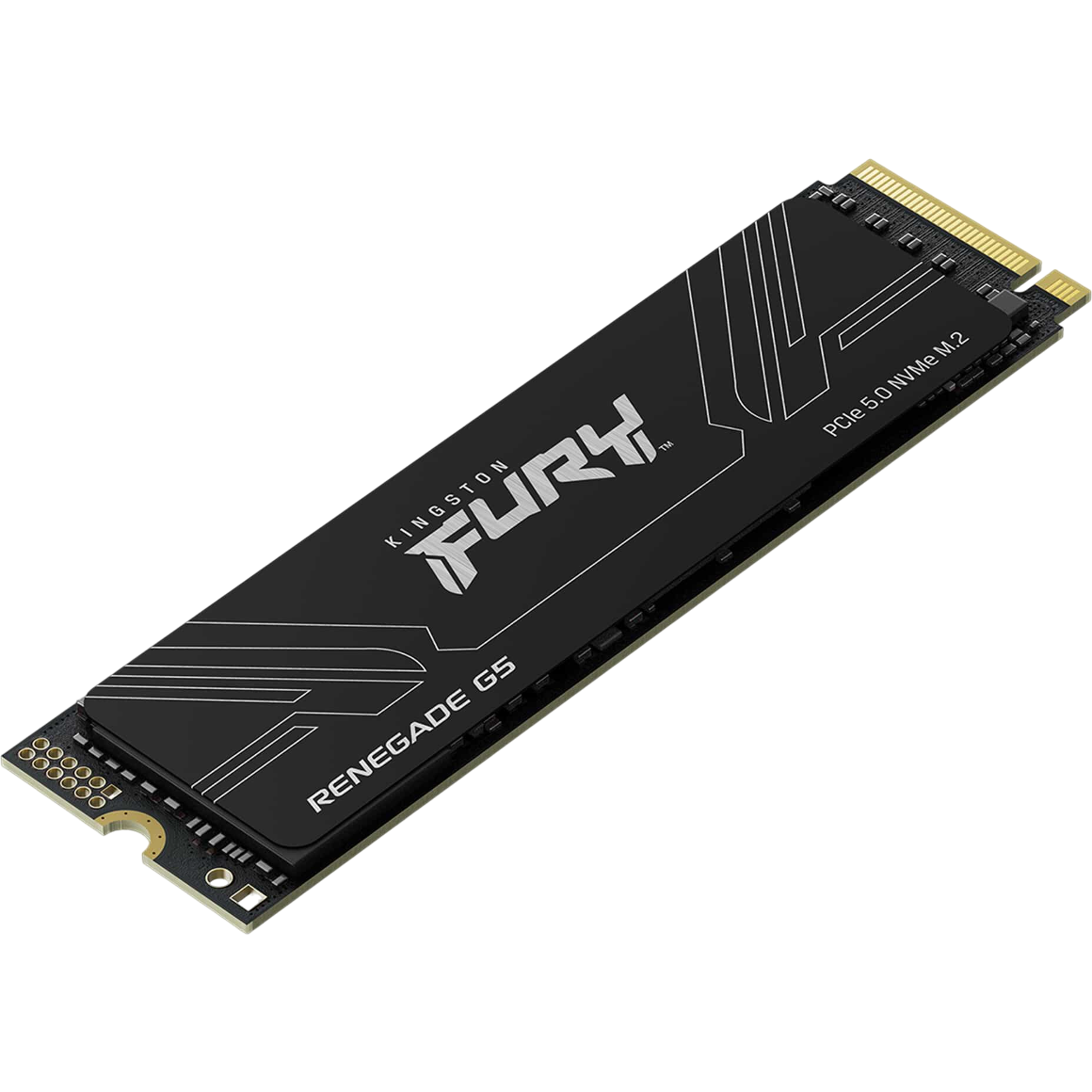 stockage SSD 1TB Kingston FURY Renegade G5 (SFYR2S/1T0)