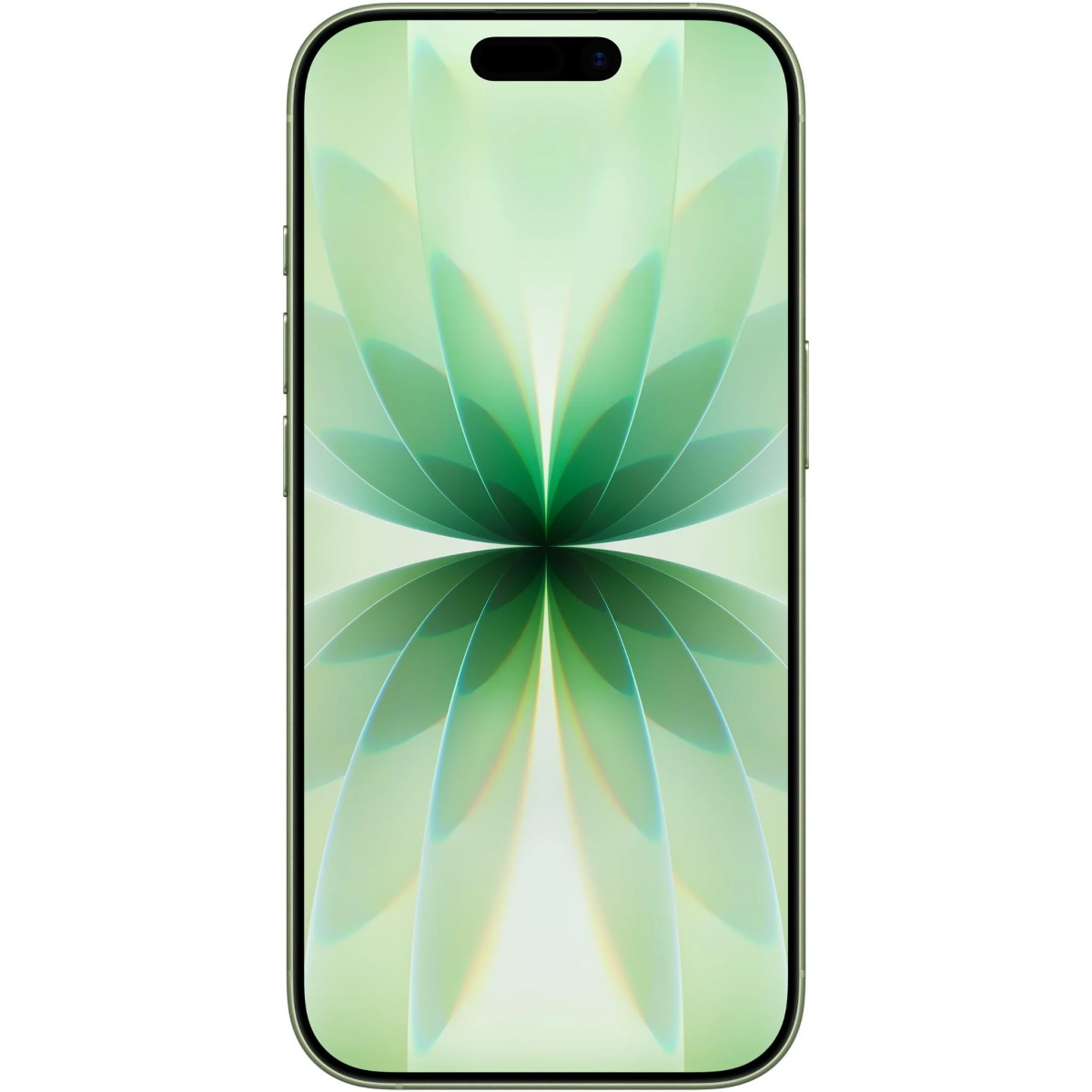 smartphone Apple iPhone 17 256GB Sage (MG6N4ZD/A) - photo 2