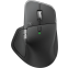 souris Logitech MX Master 4 Graphite - 910-007562