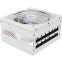 Alimentation électrique 850W Gigabyte GP-AE850PM PG5 ICE - photo 3