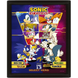 affiche Pyramid International Sonic The Hedgehog Select Your Fighter (EPPL71540)