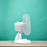 Ventilateur de bureau Timberk T-DF901