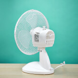 Ventilateur de bureau Timberk T-DF901