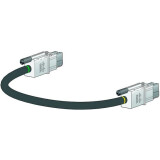 Câble Cisco CAB-SPWR-30CM
