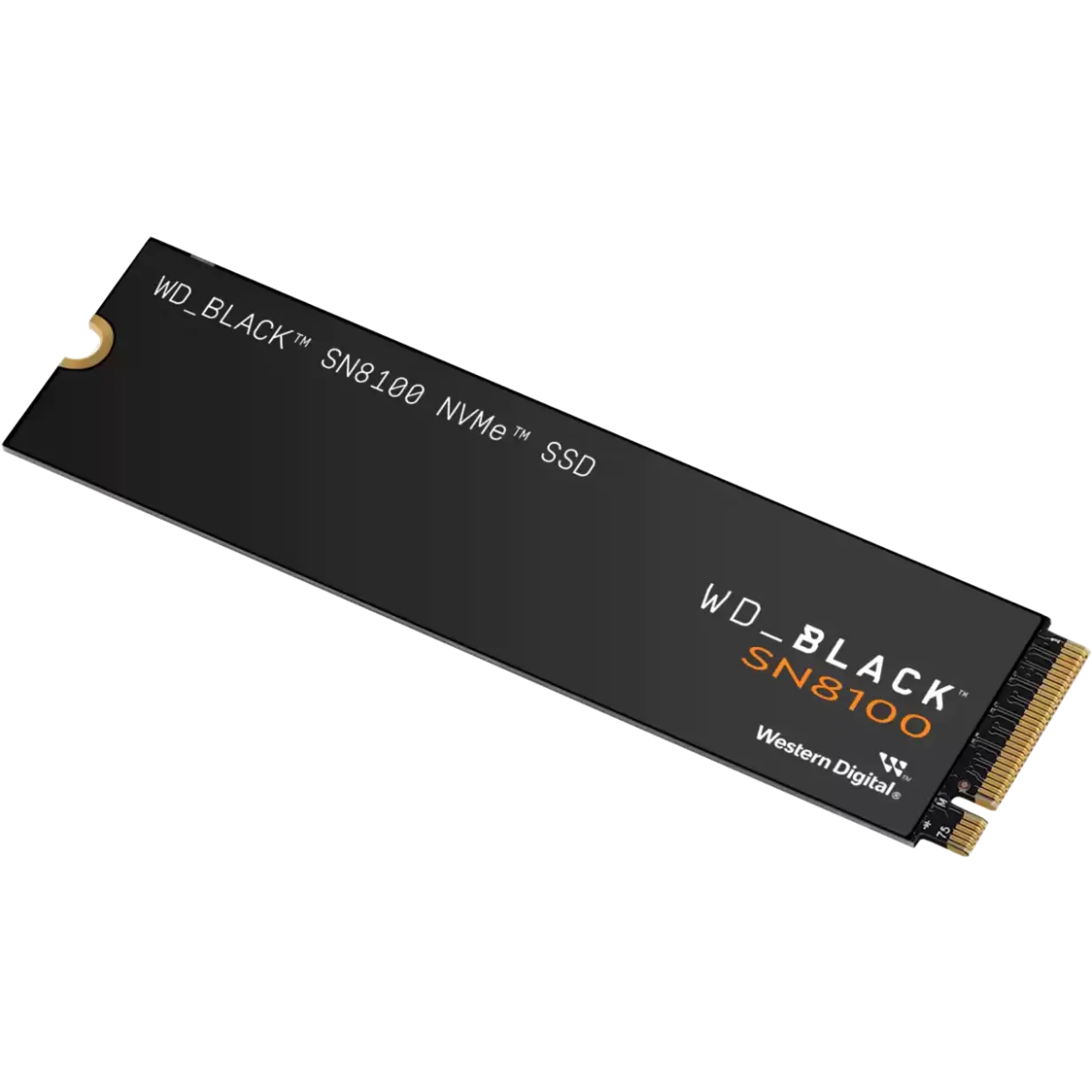 Stockage SSD 1TB WD Black SN8100 (WDS100T1X0M)