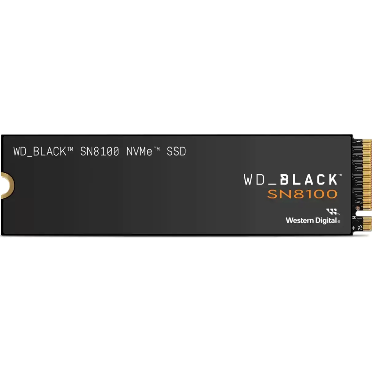 Stockage SSD 1TB WD Black SN8100 (WDS100T1X0M) - photo 2