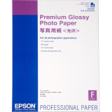 papier Epson C13S042091
