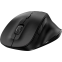 souris Genius Ergo 8230S Black - 31030050400 - photo 4