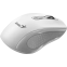 souris Genius NX-8025S White/Grey - 31030048401 - photo 4