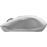 souris Genius NX-8025S White/Grey (31030048401)