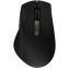 souris Razer Pro Click V2 - RZ01-03900100-R3M1