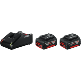 Chargeur + Batterie rechargeable Bosch 1600A019S0