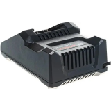 Chargeur + Batterie rechargeable Bosch 1600A01B9Y
