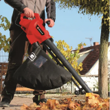 Soufflante Einhell GC-EL 3024 E (3433370)
